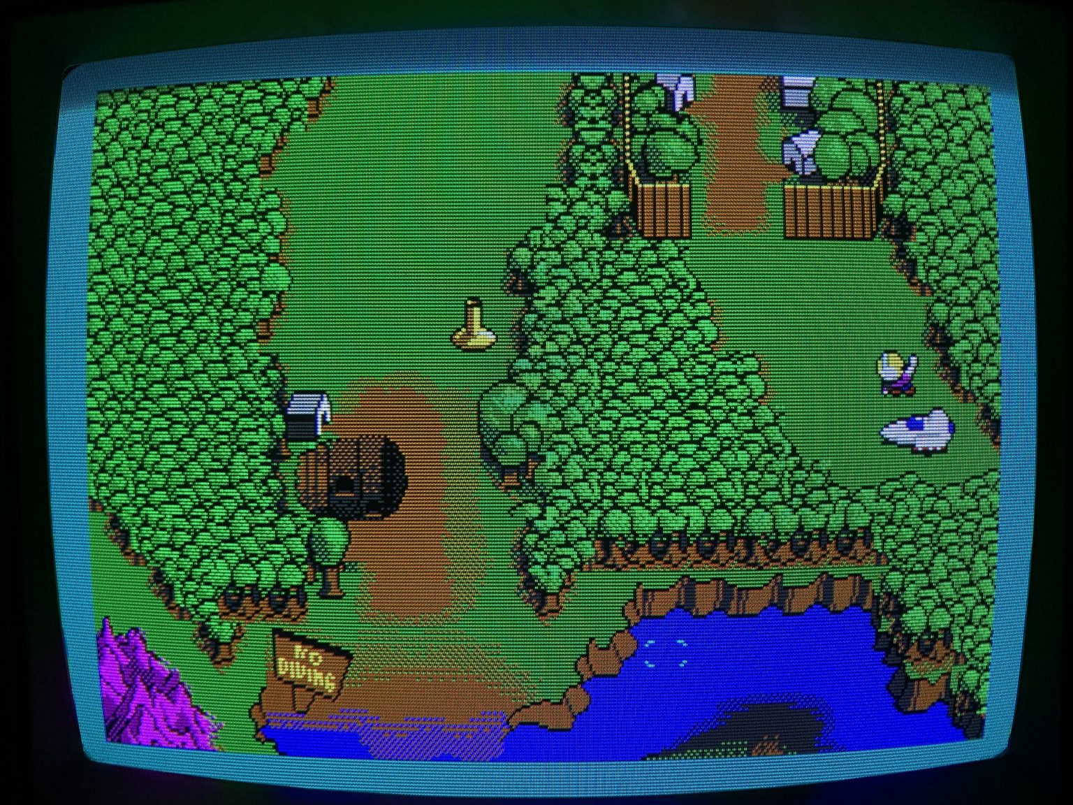 Level map showing the forest in top down perspective