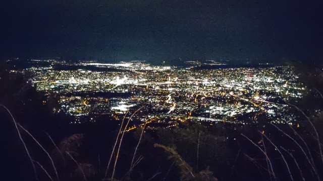 Blick auf Zürich bei Nacht. Ein paar trockene Grashalme im Vordergrund.