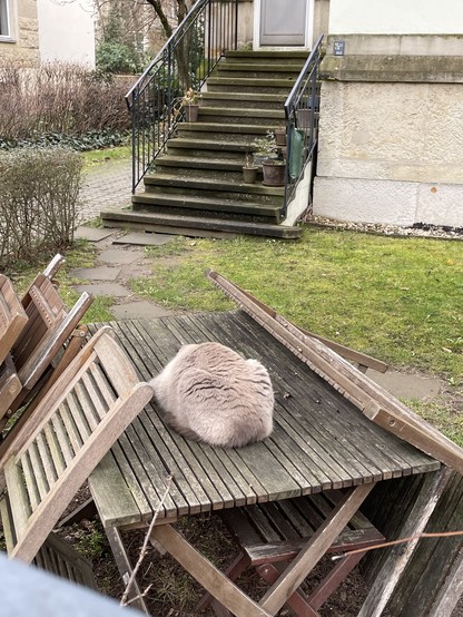 A gray brown cat lying on a wooden garden table like a pile of fur. 