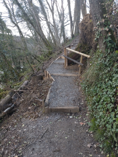 Ein Wanderweg in lichtem Laubwald geht mit Holzbrettern gebaute, aufgeschüttete Stufen hoch.