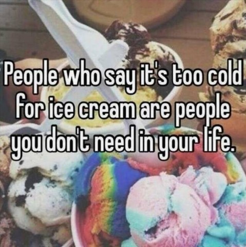 Bild von Eiscrème-Kugeln mit Text "People who say it's too cold for ice cream are people you don't need in your life."