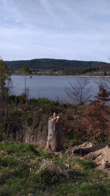 Multiple cairns on a tree stump. A lake and a hill with a forest in the background.