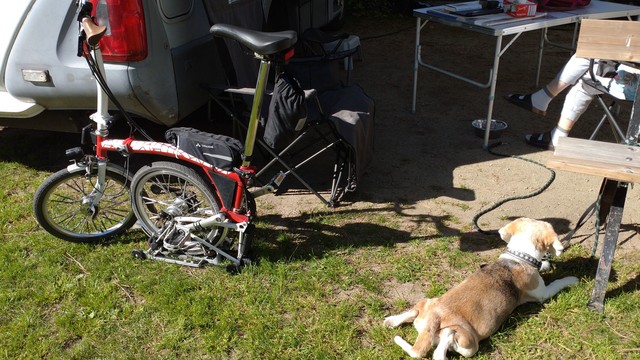 A red-white half-folded Brompton is standing in front of a camper van. A beagle is laying in tbe grass beneath a bench.