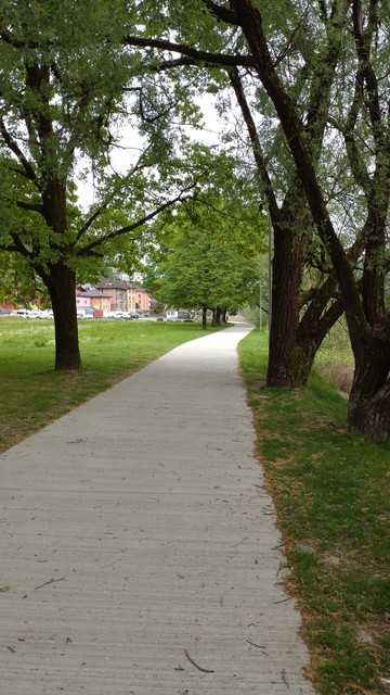 A pedestrian and bicycle path made out of concrete passing through a park with some trees on both sides.