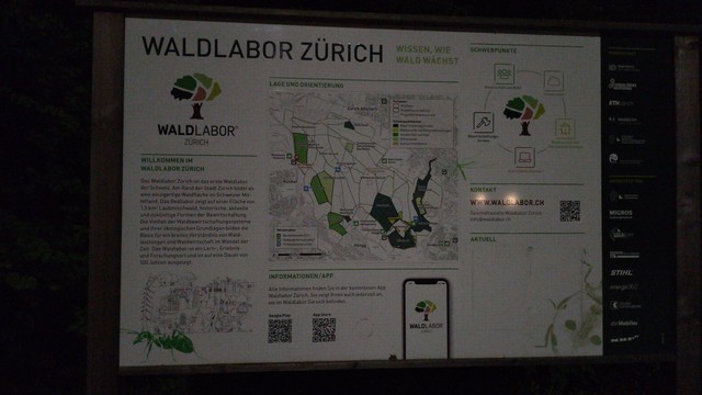 A large sign with explanations and a map of the Waldlabor Zürich (Forest Lab Zurich)

Shot in the dark without flash to avoid reflections. There are two reflections from some lights behind the photographer visible nevertheless.