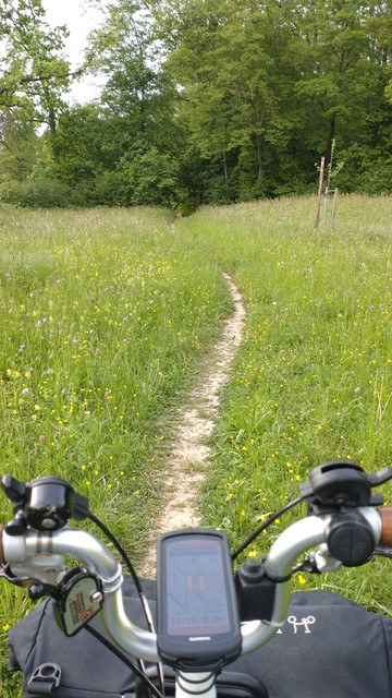 A narrow path in a nice green meadow with many small yellow and lilac flowers. Green trees in the background, the handlebar of a Brompton with a Garmin GPS in the foreground.