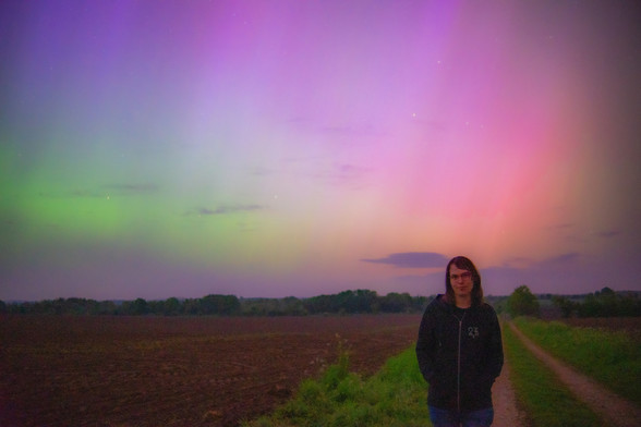 Picture of a night sky, with aurora borealis, green, pink and purple colors visible, Manawyrm is standing on a grassy street looking into the camera