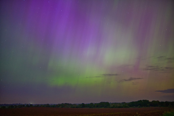 Picture of a night sky, with aurora borealis, green and purple colors visible. A bit of a field and some trees in the distance. 
