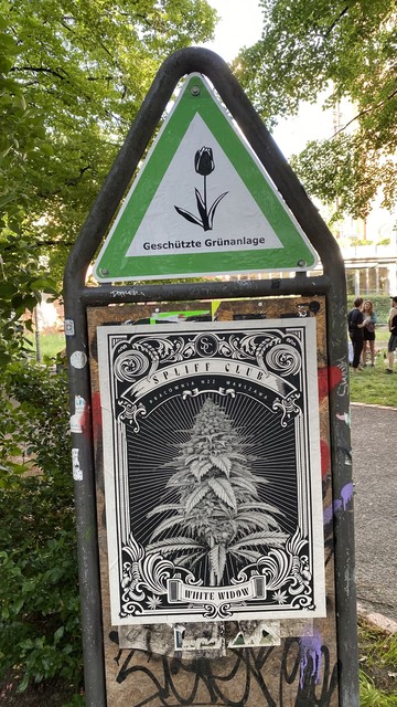 Ein offizielles Schild „Geschützte Grünanlage“, darunter ein Plakat vom Spliff Club Warschau mit einem Prachtexemplar von White Widow.