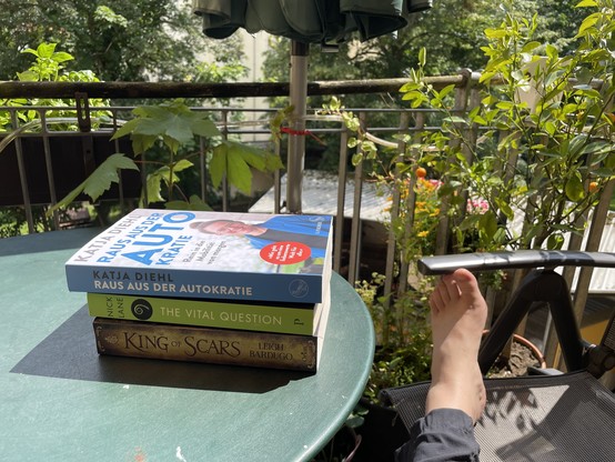 Ein Stapel Bücher auf dem sonnigen Balkon mit grünen Bäumen und Pflanzen im Hintergrund. 
„Raus aus der Autokratie“ @SheDrivesMobility@norden.social 
„The Vital Question“ Nick Land
„King of Scars“ Leigh Bardugo