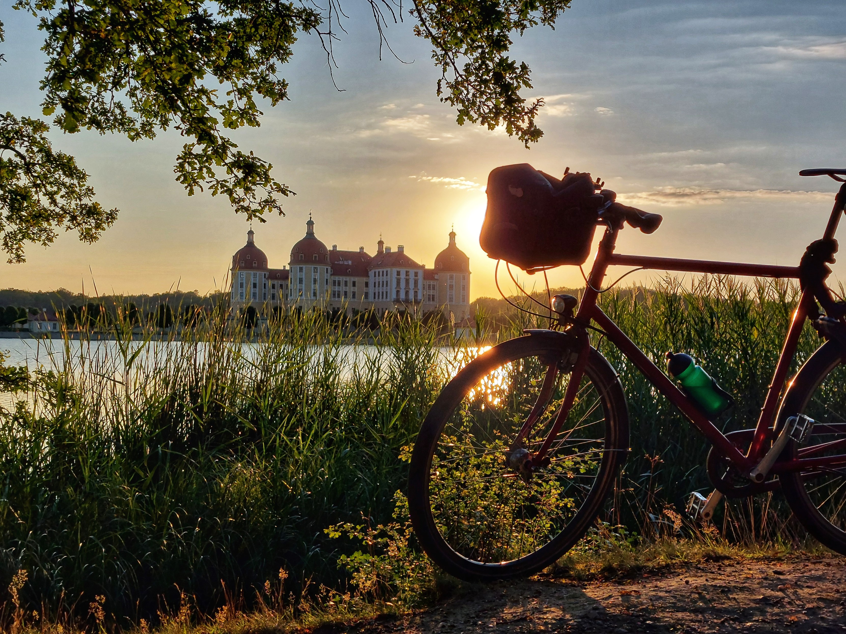 Schloss Moritzburg in blau gelben abendlichen Gegenlicht. Von oben ragen Blätter und Bild, davor rechts ein Fahrrad. Dazwischen ist der Schlossteich.