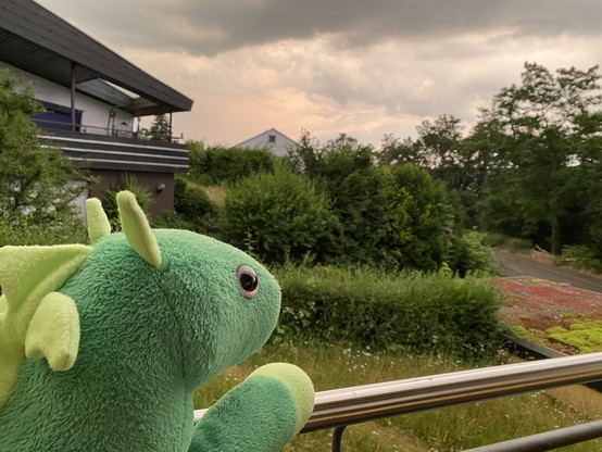 Green Dragon Koks on balcony watching sepia-ish sky