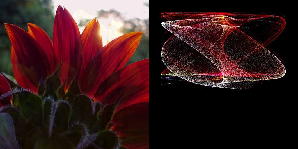 The red sunflower (left) is the source for the coloration of the point cloud (right).