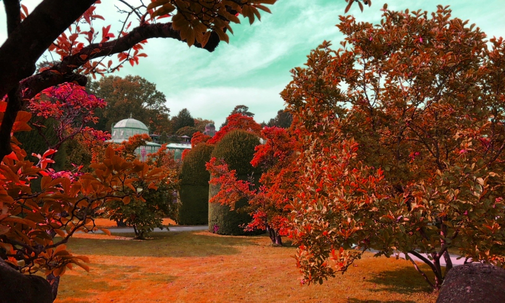 The magnolia trees under a green sky.