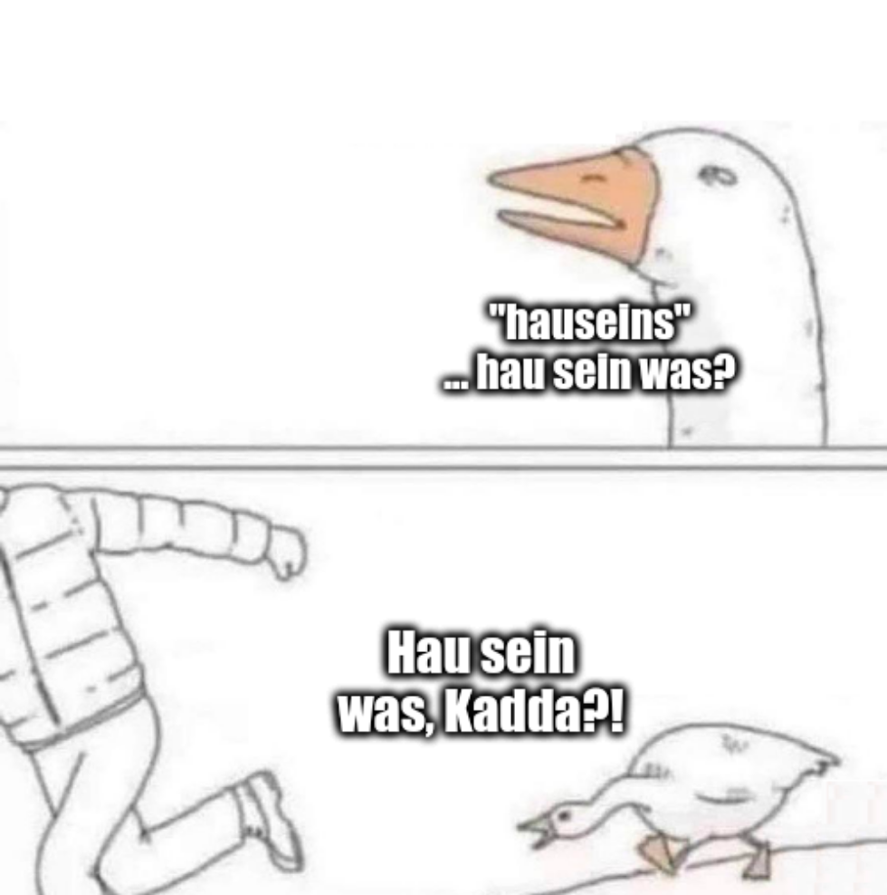 "Goose-Chase"-Meme.

Oberes Panel: Eine weiße Cartoongans schaut skeptisch, mit zusammengekniffenen Augen. Sie sagt: "hauseins … hau sein was?"

Unteres Panel: Eine Person mit Daunenjacke rennt vor der Gans weg. Die Gans ruft während der Verfolgung: "Hau sein was, Kadda?!"