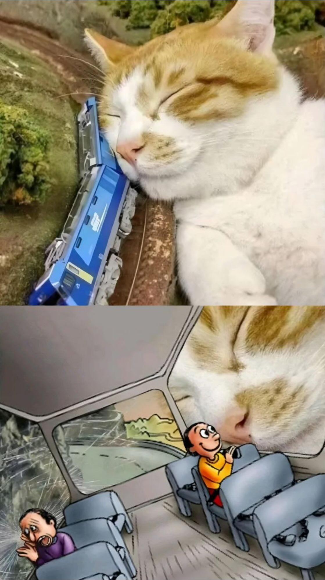 Top panel: A model train appears crushed against the face of a sleeping orange and white cat, whose head rests heavily on the miniature tracks.

Bottom panel: A cartoon depiction of the train's interior shows exaggerated passengers; one is panicked by the impact, while another smiles calmly, looking out the window at the cat's face.