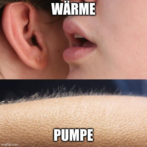 Whisper and goosebumps meme mit dem Wort Wärmepumpe