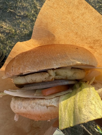 Eine Nahaufnahme eines Sandwiches mit einem weichen Brötchen, gefüllt mit einem gewürzten Käse, Salat, Tomatenscheiben und einer Art Sauce, eingewickelt in braunes Pergamentpapier. Der Hintergrund zeigt Gras.