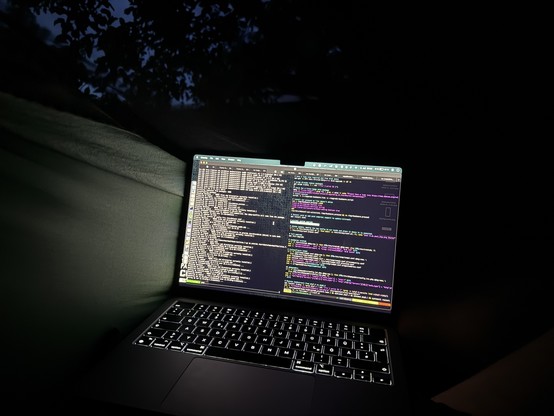 A laptop displaying coding text in a dark setting, with soft keyboard backlighting. The background features faint silhouettes of foliage against the twilight sky.