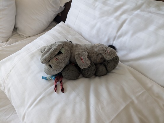 Plush donkey Timothy lying exhausted on the bed