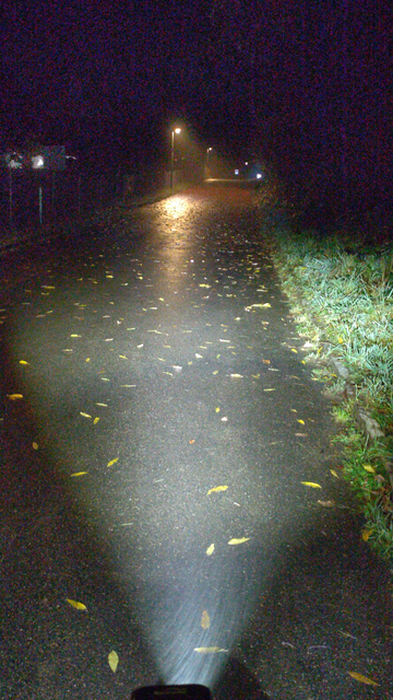 Niesel weht durch den Lichtkegel des Scheinwerfers. Im Hintergrund eine tlw. mit Herbstblättern bedeckte Nebenstrasse. Strassenlaternen in der Ferne, rechts etwas Wiese.